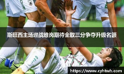 中欧体育
